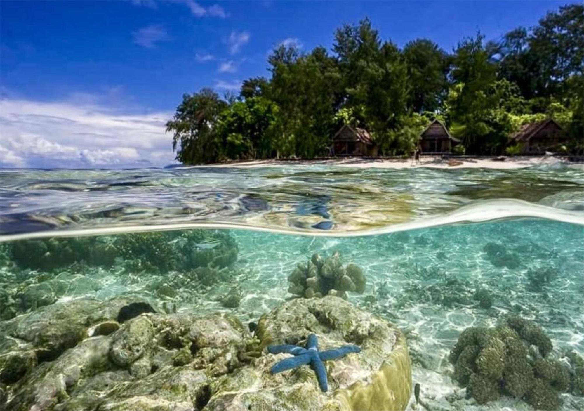 Wai Resort - Raja Ampat Pulau Birie Экстерьер фото